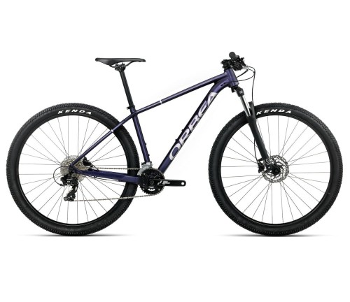 ROWER ORBEA ONNA 50 29 M TANZANITE - SILVER