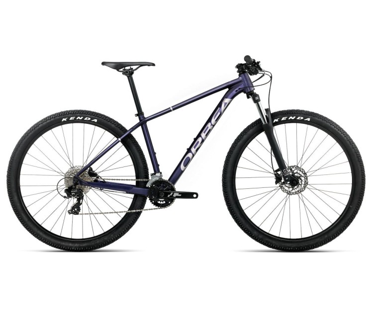 ROWER ORBEA ONNA 50 29 M TANZANITE - SILVER