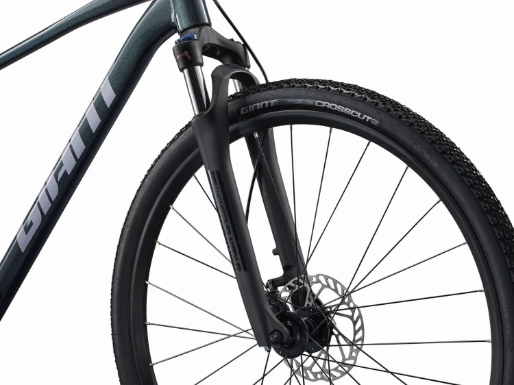 ROWER GIANT ROAM 2 M ASPHALT GREEN